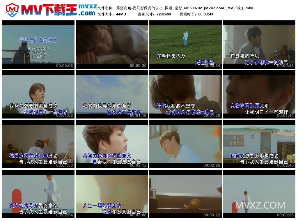 蔡坚高翔-我只想做真的自己_国语_流行_ME600702